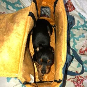 Doggie carrier bag 💼